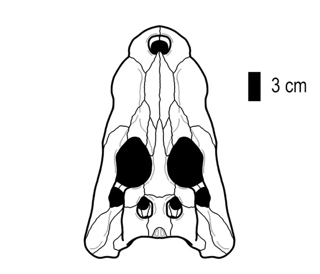 Dongnanosuchus