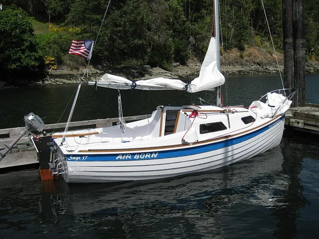 Sage 17