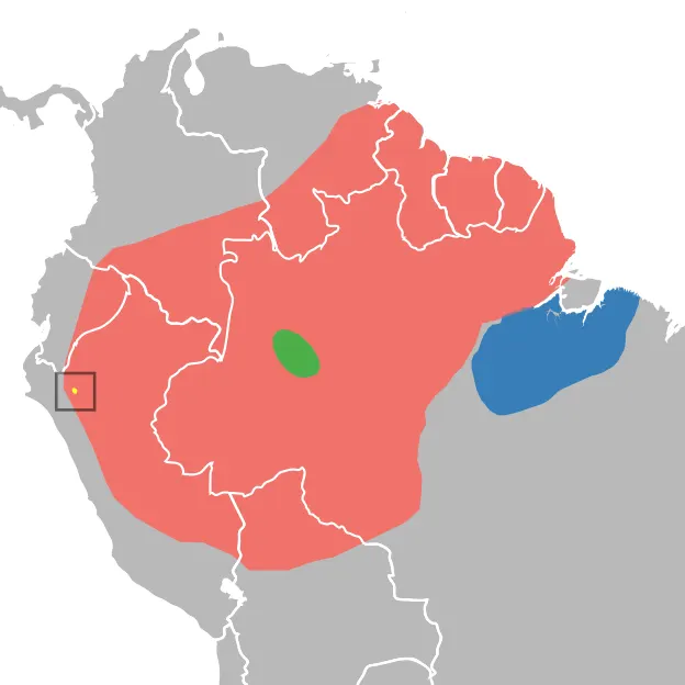 Pará spiny tree-rat