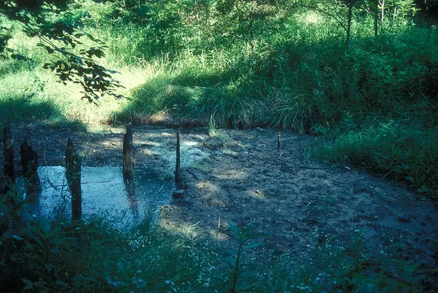 Boone's Lick State Historic Site