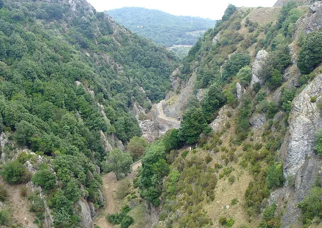 Alesani