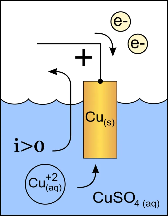 Cathode