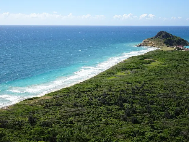 Caja de Muertos Nature Reserve