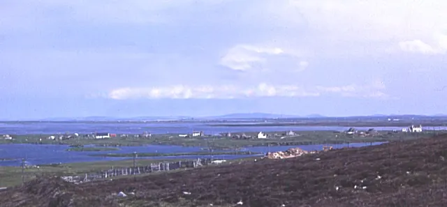 Loch Bee