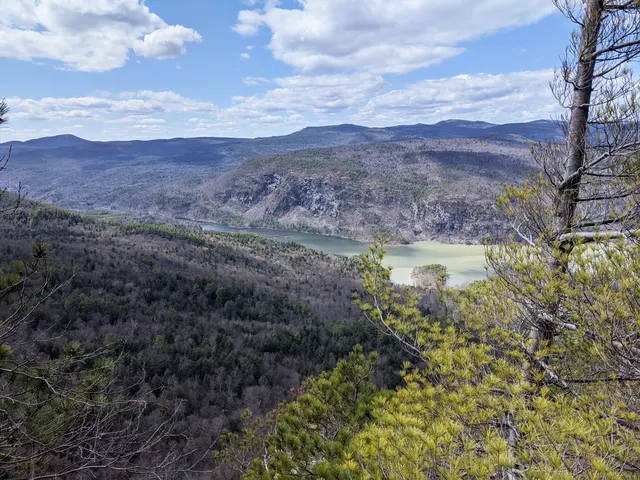 The Saddles State Forest