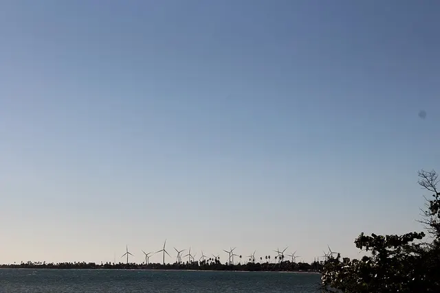 Rincón Bay