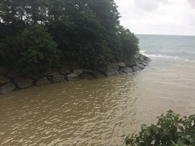 Melyat