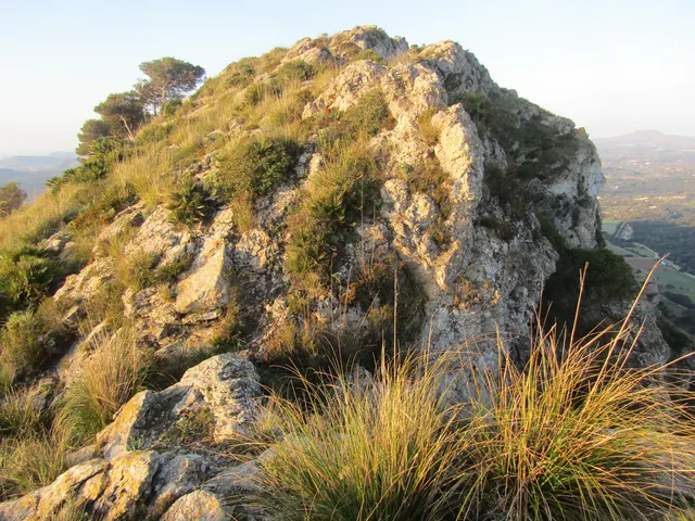 Puig des Racó