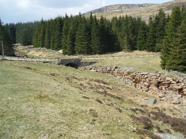 Birk Beck