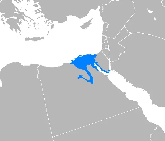 Arabe égyptien