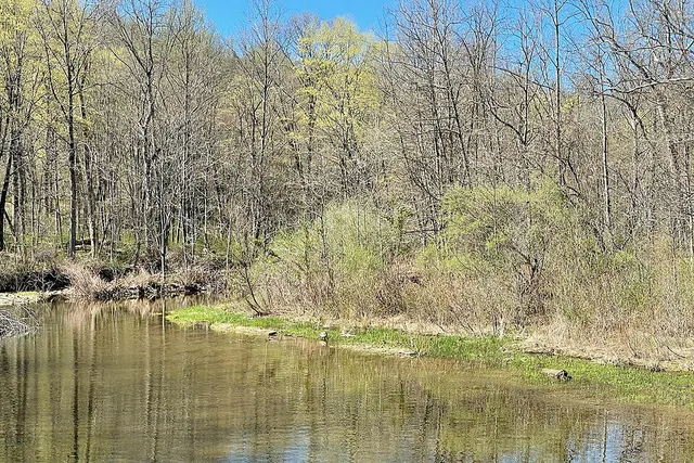 Spruce Run