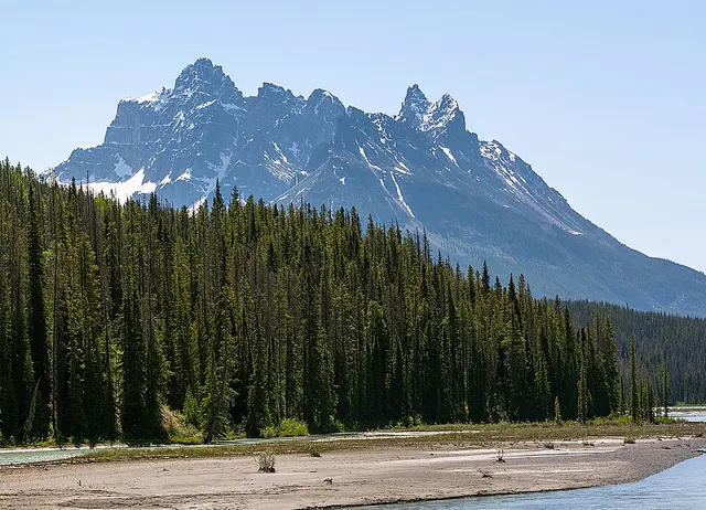 Mount Confederation