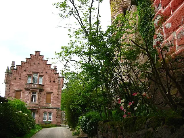 Zwingenberg