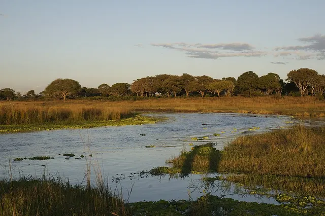 Nsimbo District
