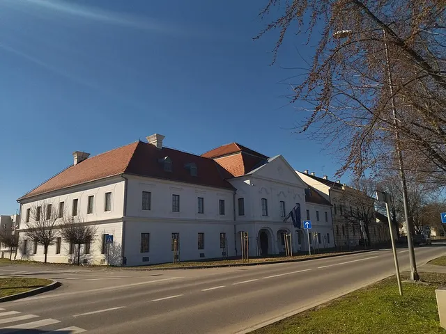 Palais du comté de Syrmie