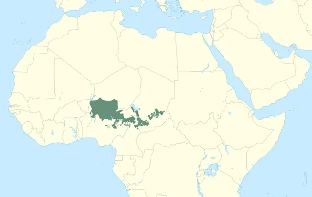 Chadic languages