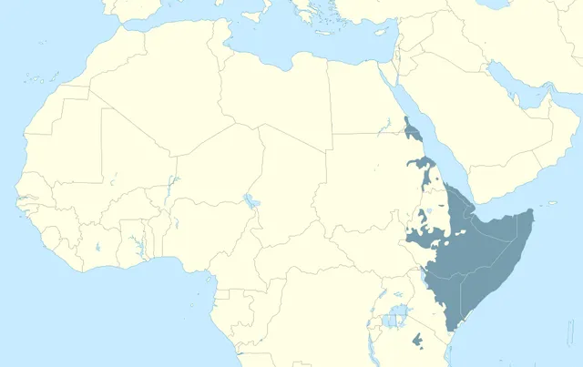 Cushitic languages