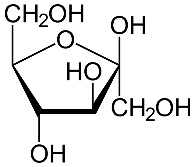 Malabsorption du fructose