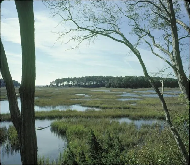 Atlantic Plain