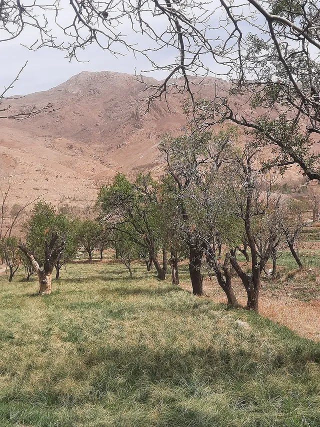 Sarayan County