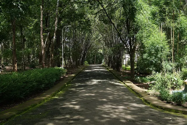 Teak Museum