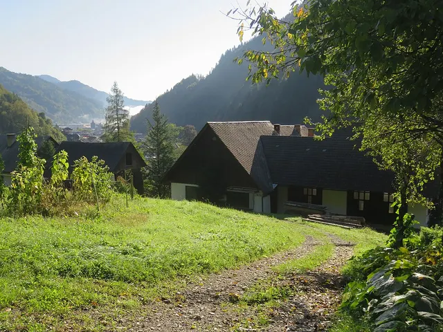 Škovine