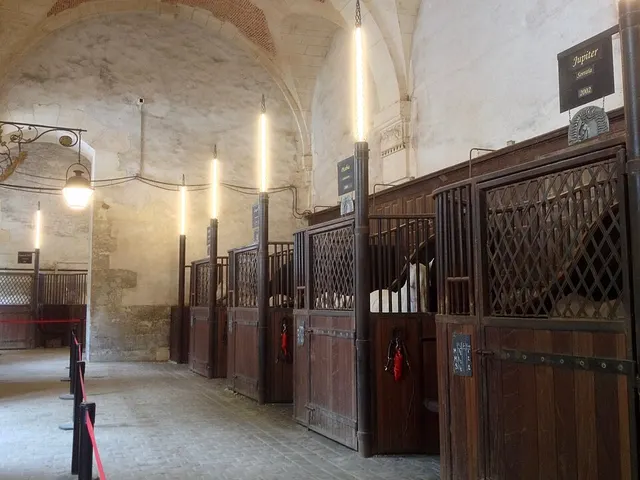 Académie du spectacle équestre