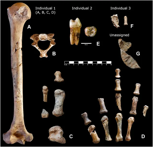 Simanya Neanderthals