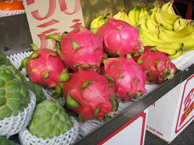 Dragon fruit farming in India