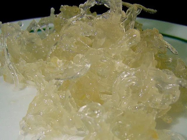 Doce de gila