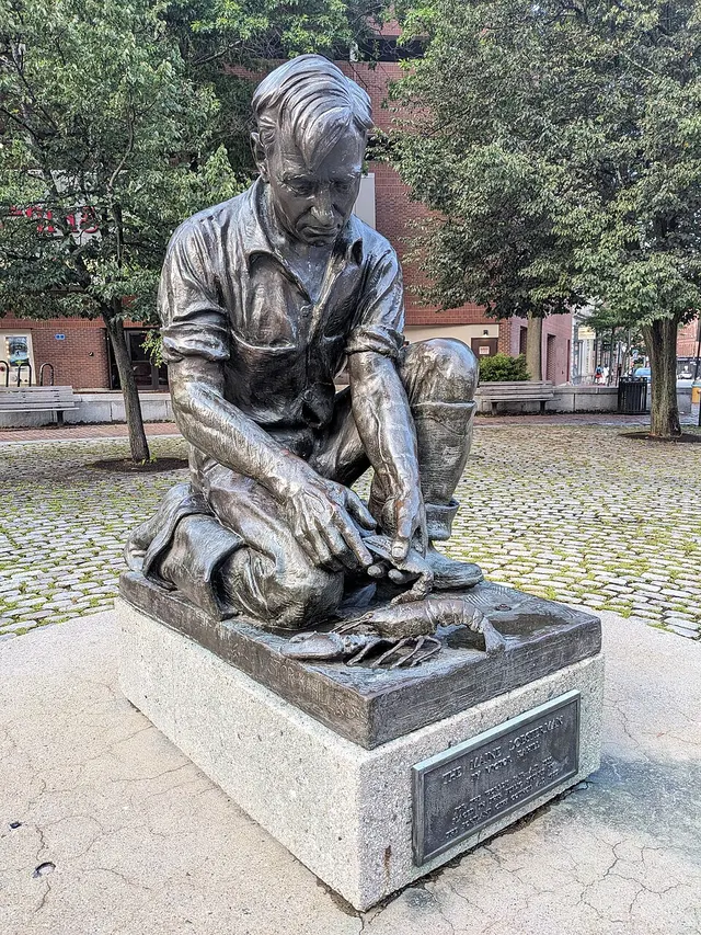 The Maine Lobsterman