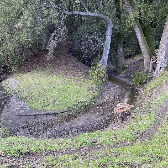 Bollinger Canyon Creek