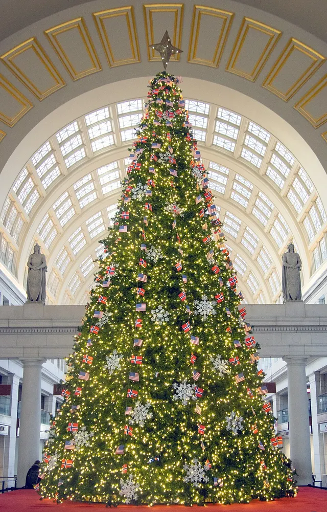 Norwegian Christmas Tree in Washington, D.C.