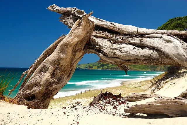 Pākiri