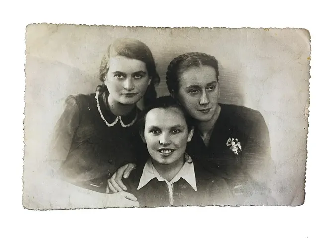 Tema Schneiderman