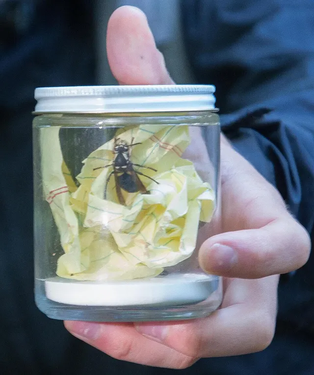 Killing jar