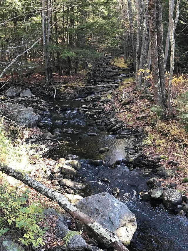 Little River