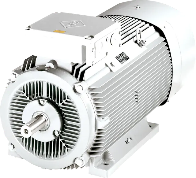 Electric motor