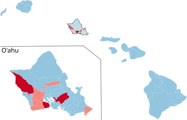 2024 Hawaii House of Representatives election