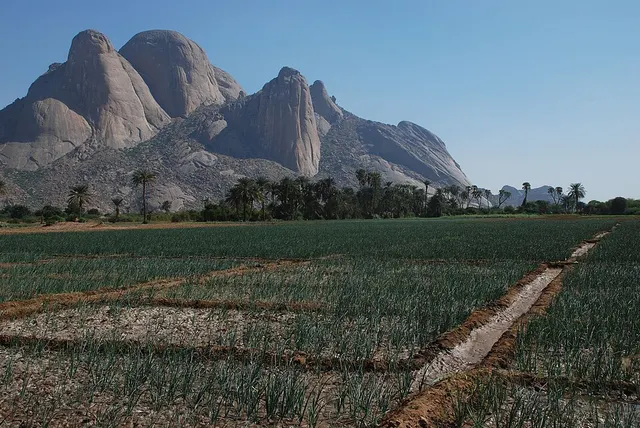 Kassala State