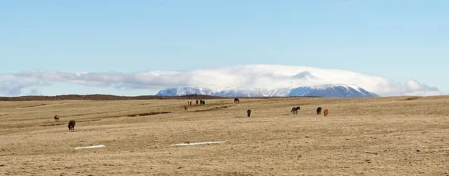 Oddnýjarhnjúkur-Langjökull volcanic system