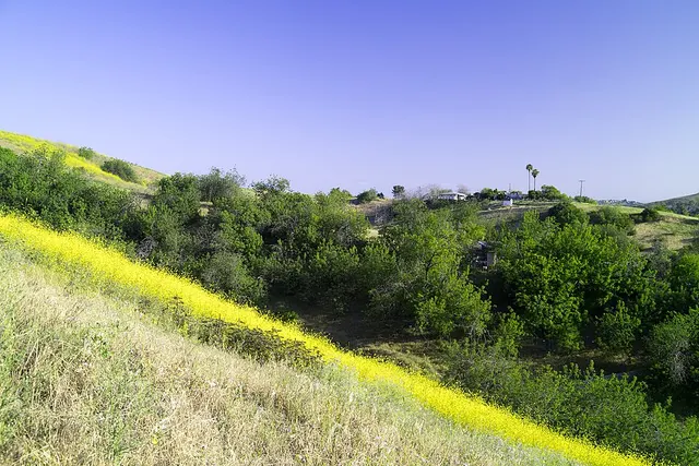 Elephant Hill Open Space
