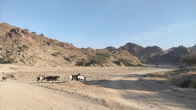Wadi Kub
