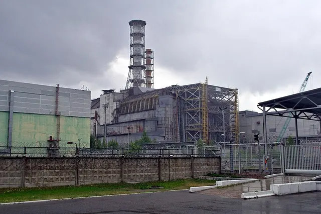 Dogs in the Chernobyl exclusion zone