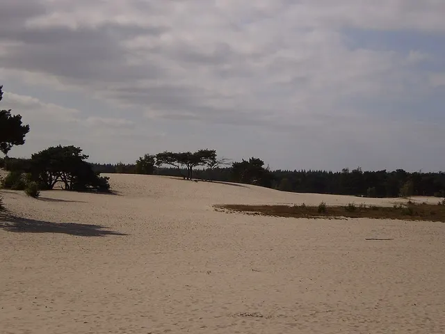 Soester Dunes