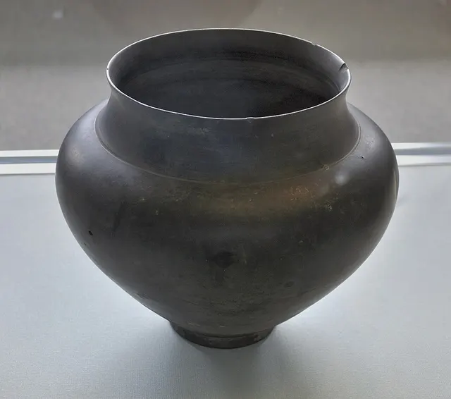 Terra nigra