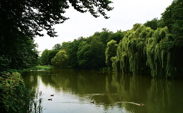 Orunia Park