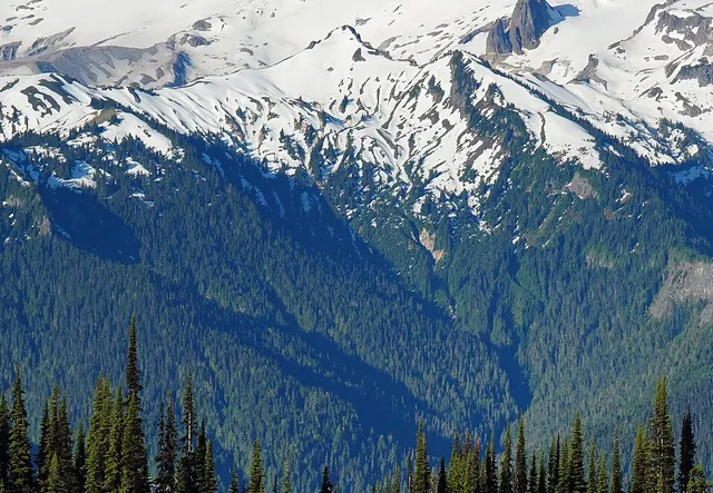 Gamma Peak