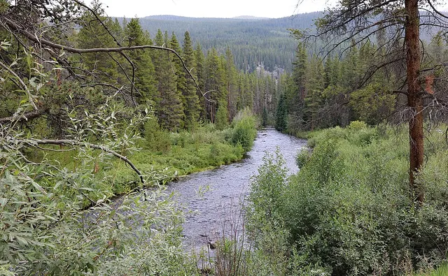 Homestake Creek