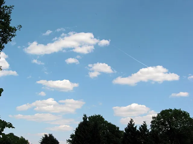 Cumulus humilis cloud
